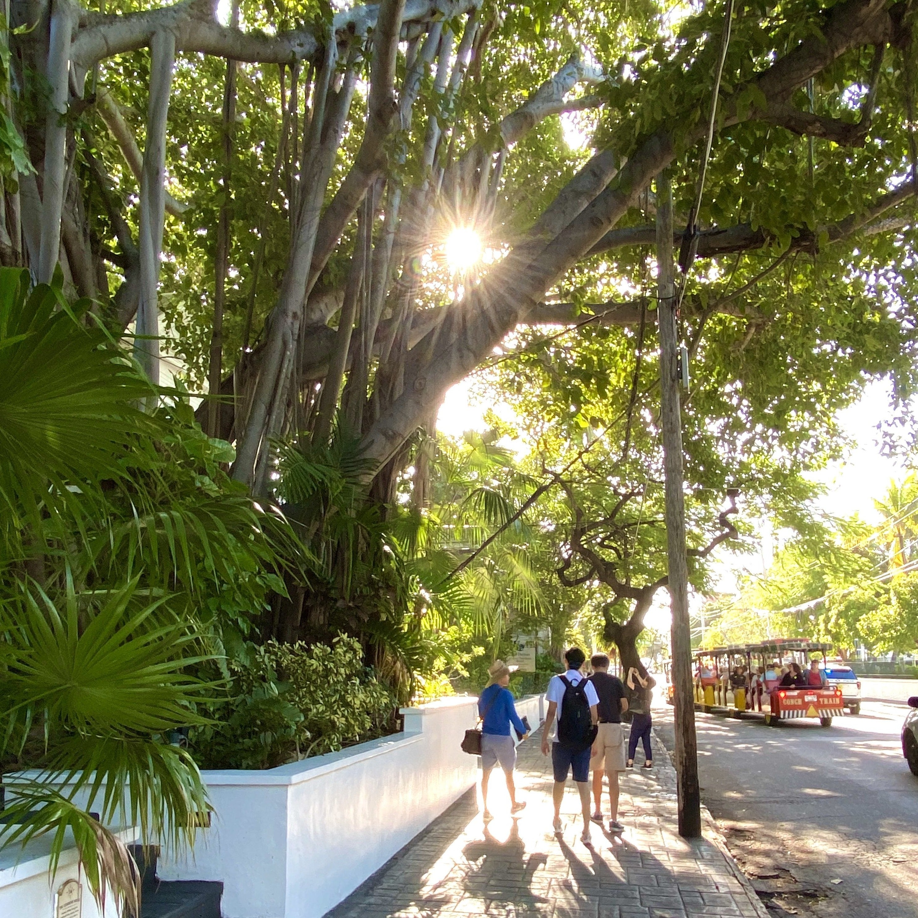 Key West History And Culture Walking Tour Small Group Key West History And Culture Walking Tour Small Group