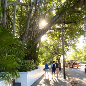 Key West History And Culture Southernmost Walking Tour - Key West Walking Tour