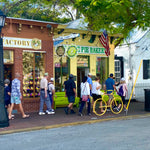Key West Historic District Small-Group Walking Tour - 2hr - Key West Walking Tour