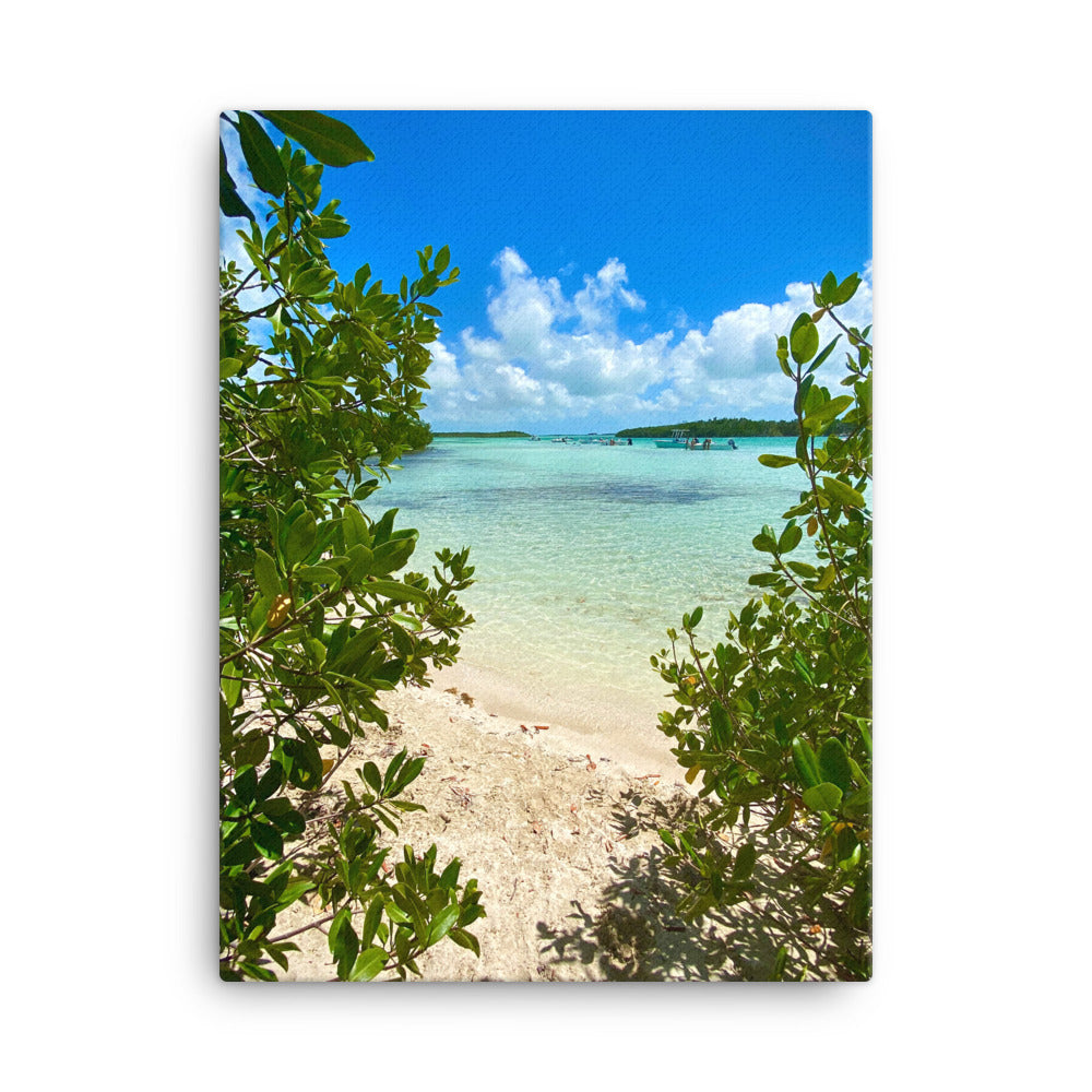 Canvas - Florida Keys Ventures